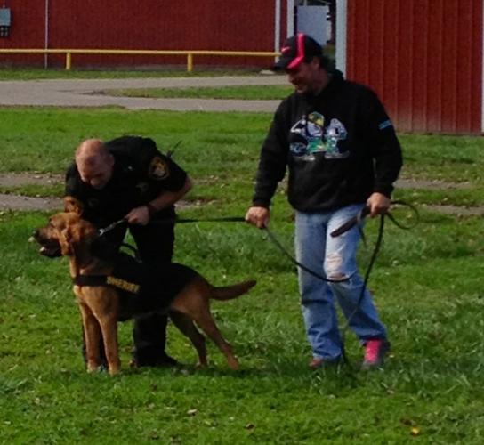 Mesmerizing Hocking County Dog Pound Scene for Mobile