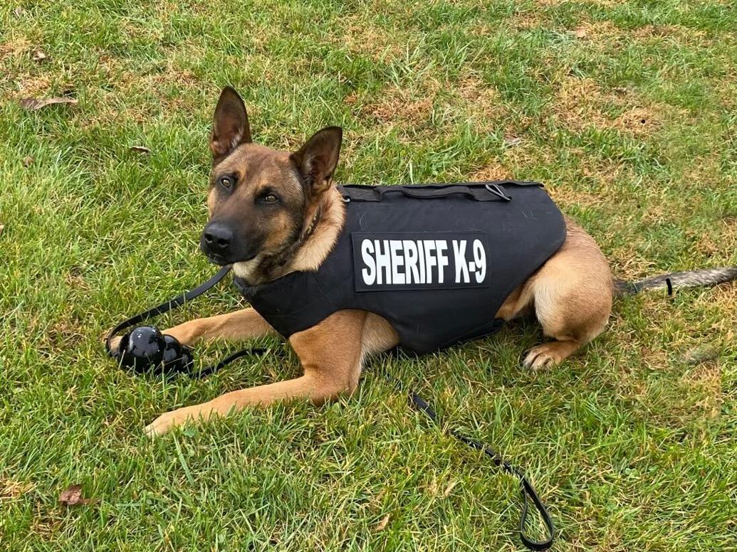 Hocking County sheriff K9 Dax receives protective vest News