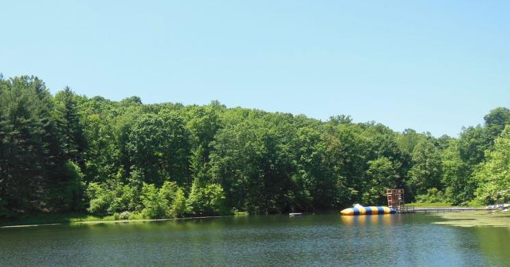 Former church camp site will see some logging - Vimarsana News