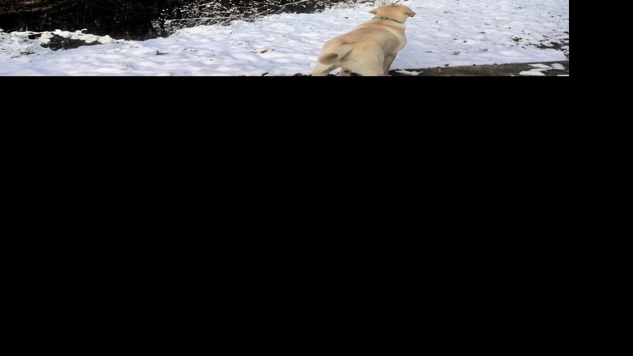 First snowfall | News | logandaily.com