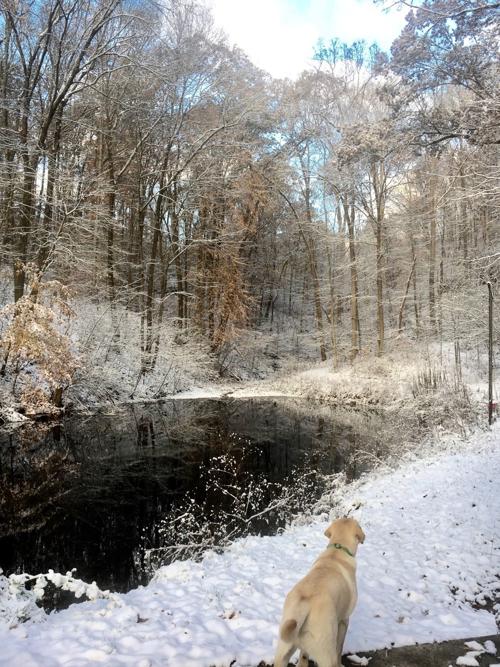 First snowfall