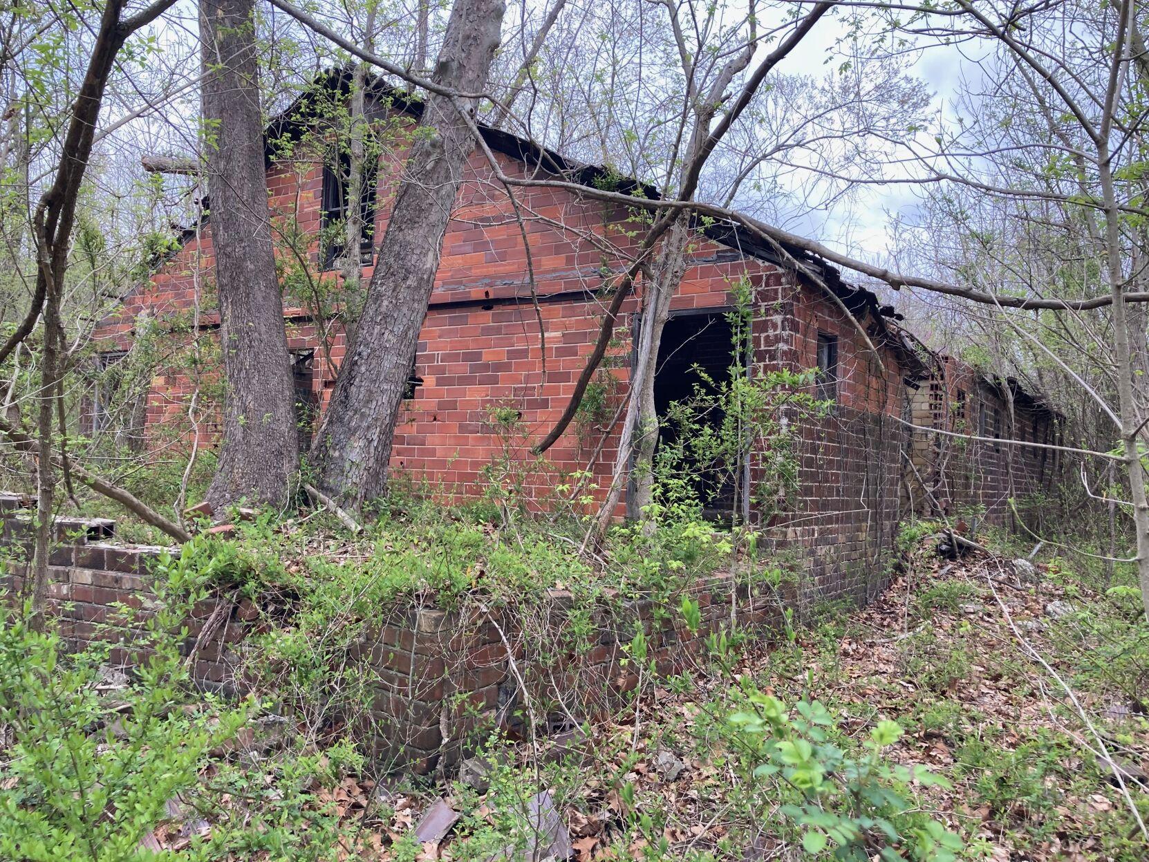 Public’s help sought in saving old Chauncey Mine site News
