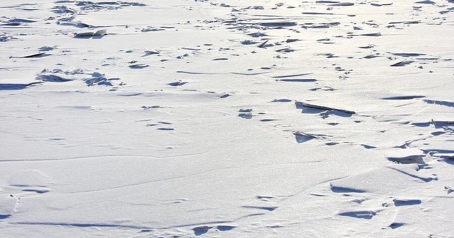 The big chill of 1936, 'hold my beer!' | Holy Cow! History