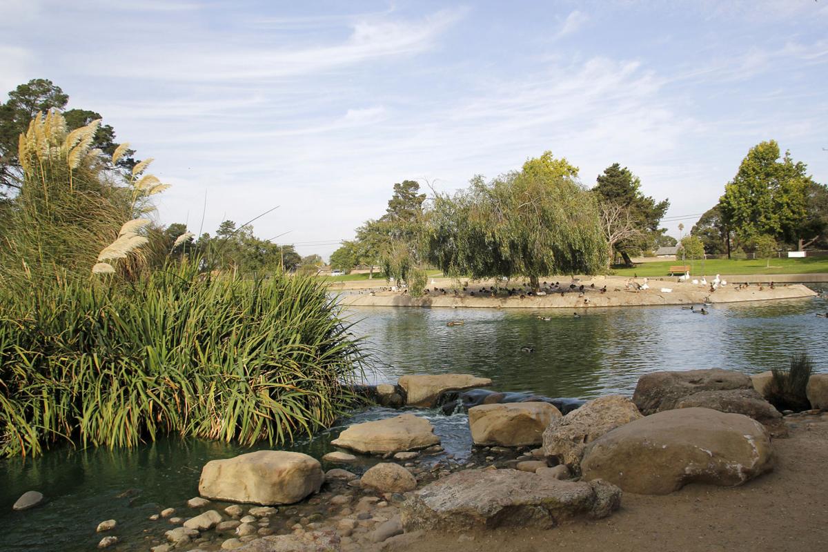 Waller Park