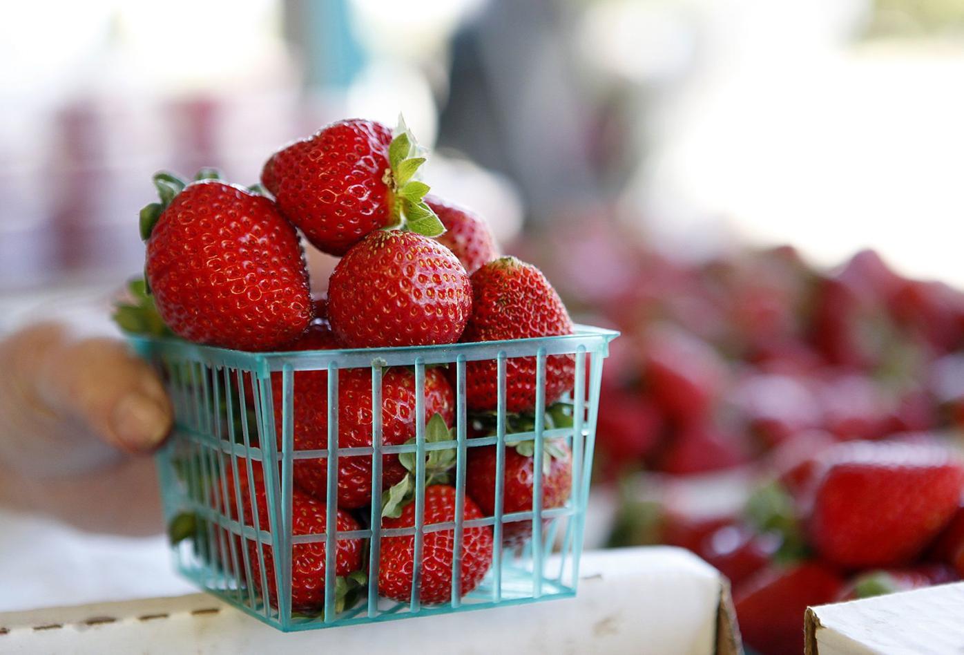 San Luis Obispo County S 19 Crop Value Second Highest On Record Local News Lompocrecord Com San Luis Obispo County S 19 Crop Value Second Highest On Record Local News Lompocrecord Com