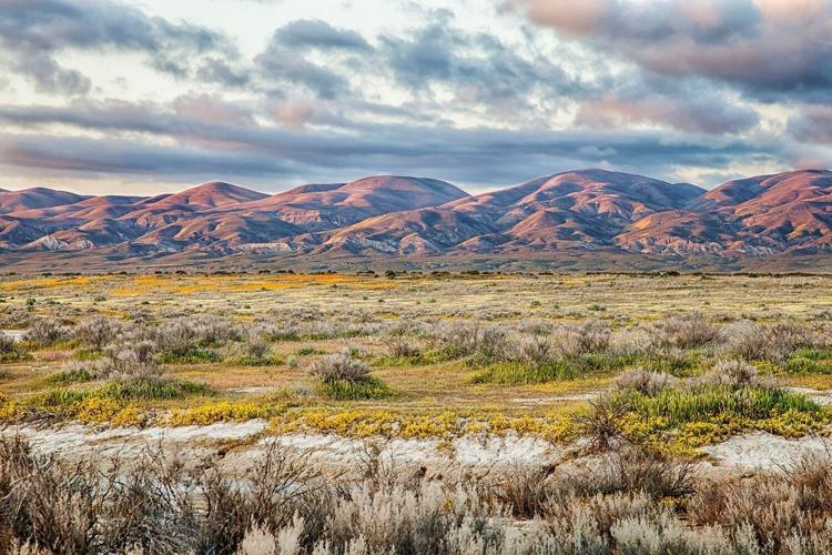 BLM proposes oil and gas lease sale near Carrizo Plain, opens public comment