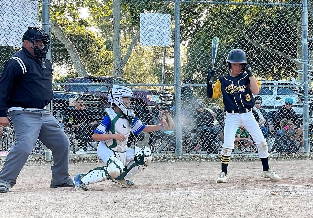 Dos Pueblos LL 11-Under All Stars Romp to District 63 Championship, Sports