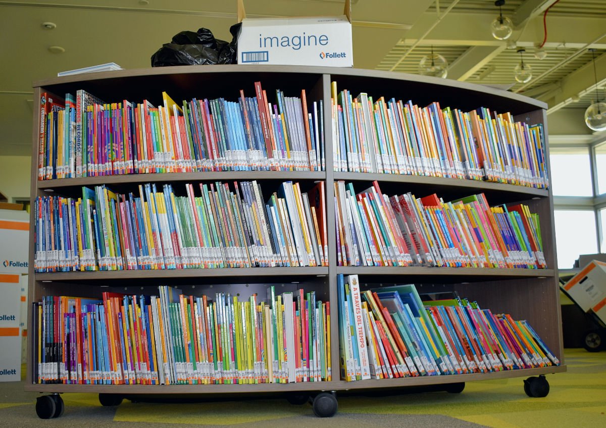 elementary school library shelves