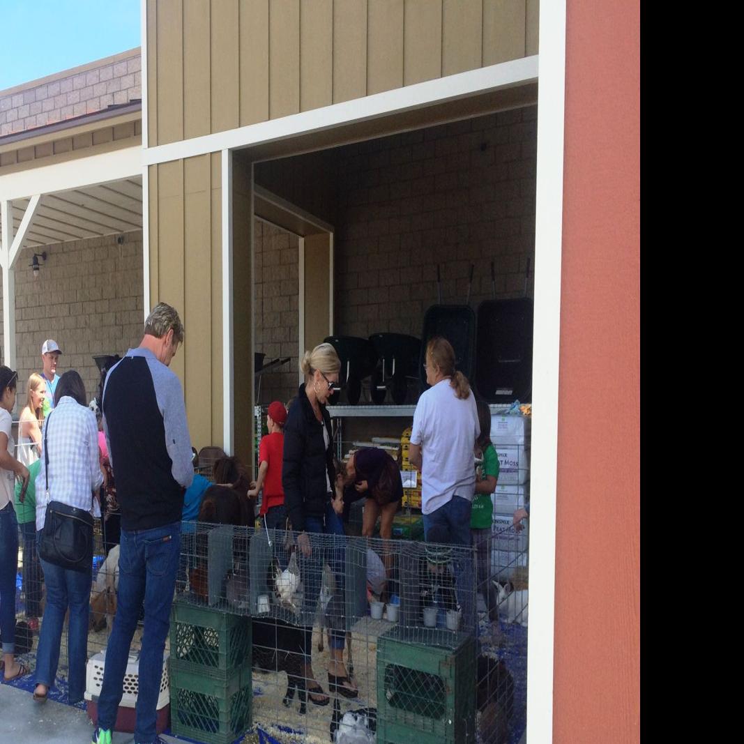 Tractor Supply Company opens doors in Buellton | Local News |  lompocrecord.com