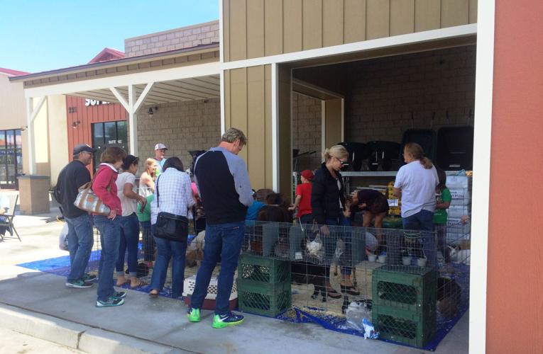 Tractor Supply Company opens doors in Buellton Local News