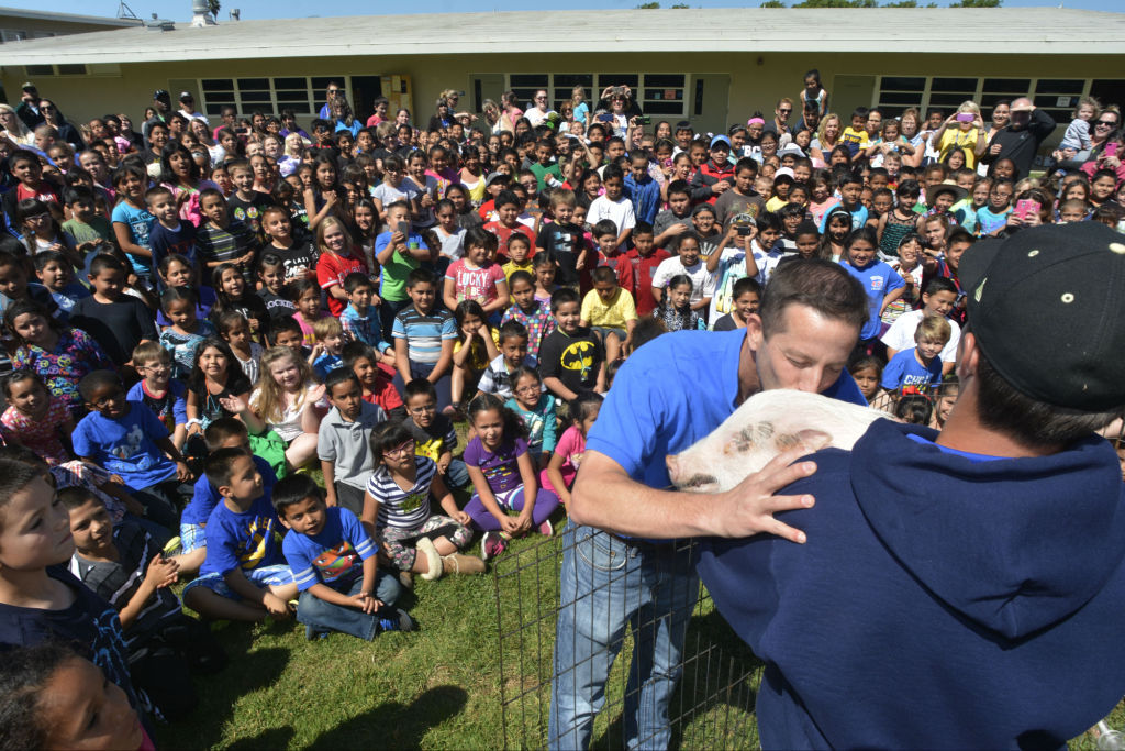 Fillmore principal kisses pig to cap off school's 'Ag Day' Local News