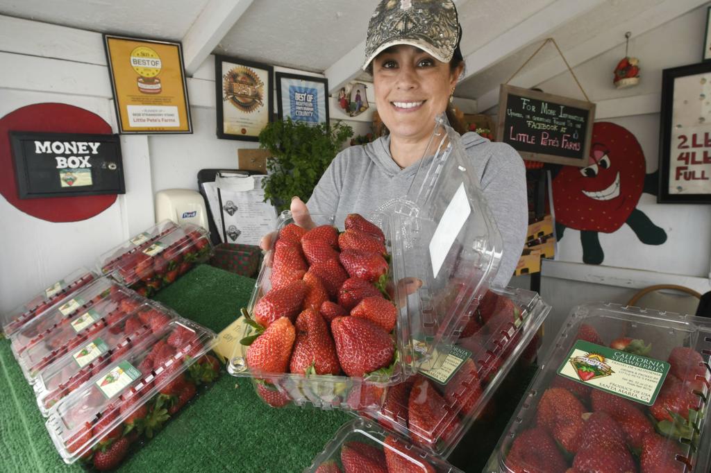 Strawberry Festival 2022 Santa Maria