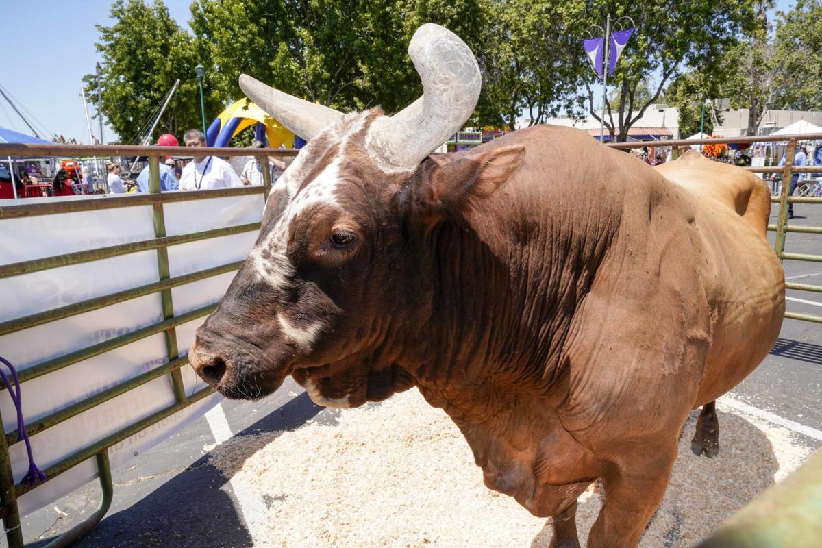 071019 Bushwacker 01.jpg