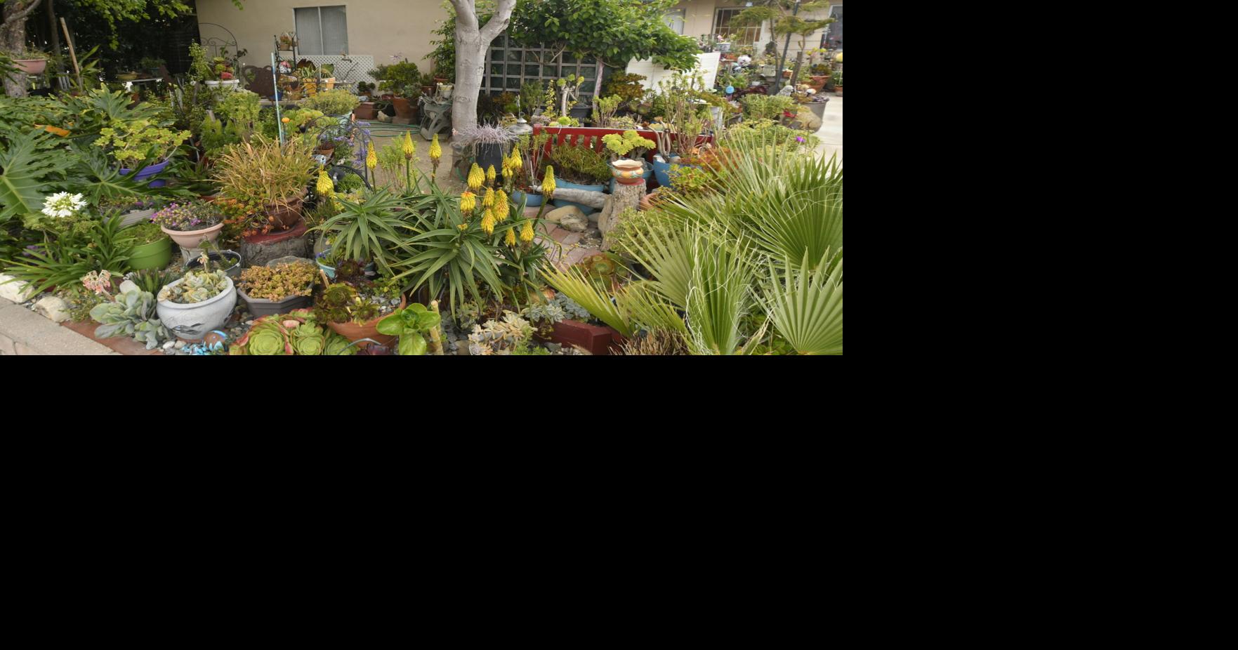 Nominations now accepted for Lompoc spring yard beautification contest