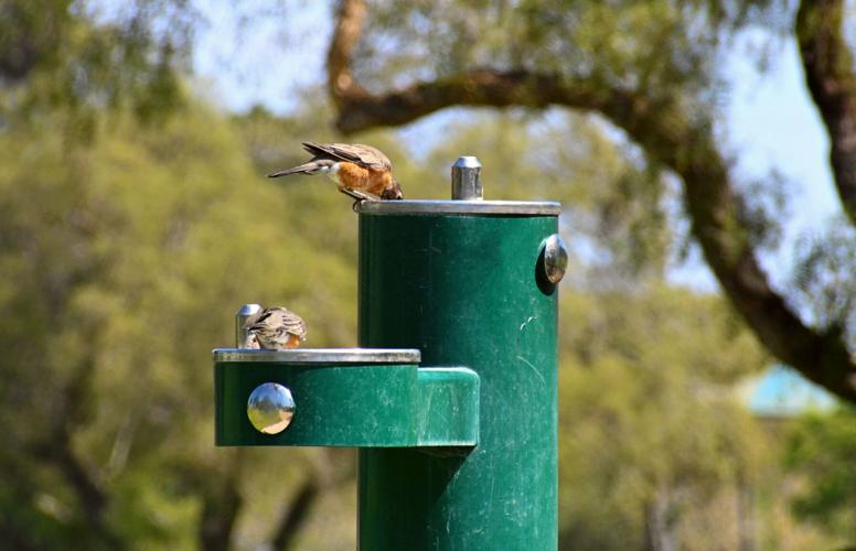 090122-smt-news-heat-wave-004