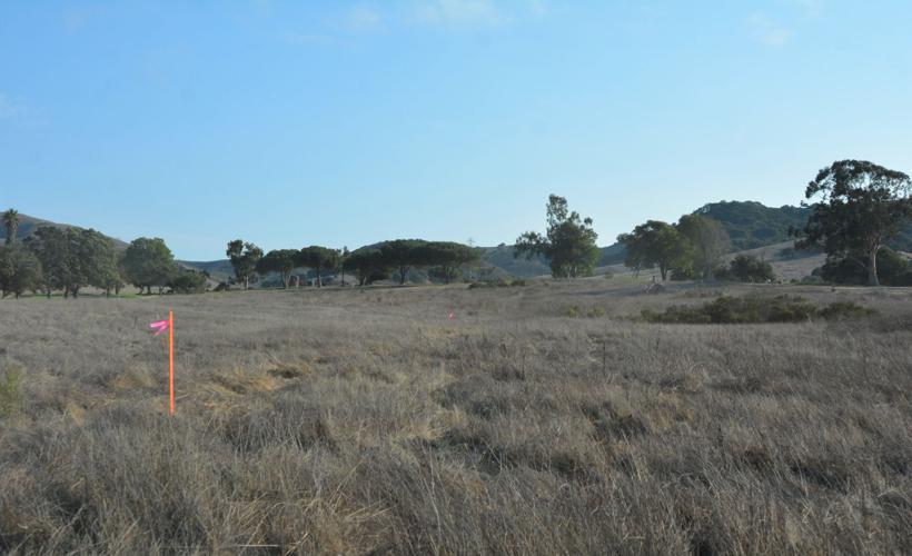 Major residential development proposed for Rancho Maria in Orcutt ...