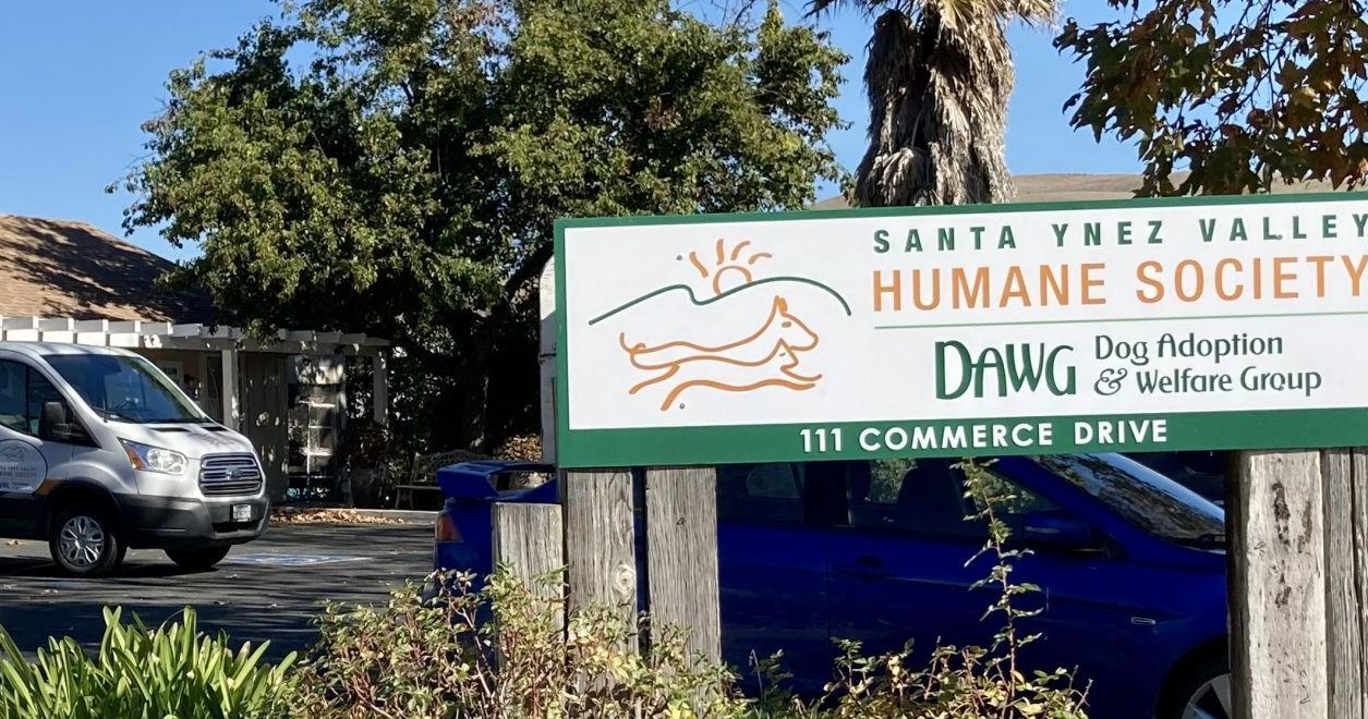 SYV Humane Society/DAWG welcomes new executive director, Shana Schank - Vimarsana News