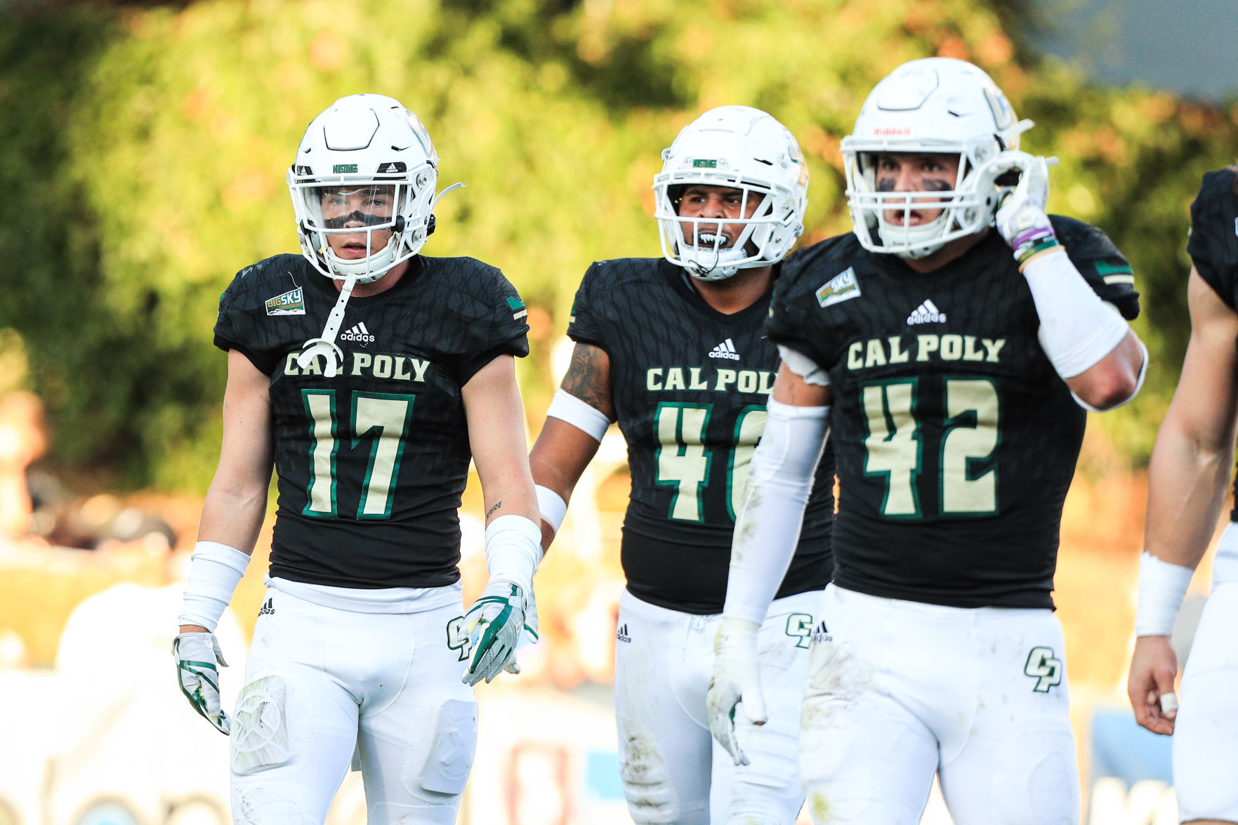 cal poly football helmet