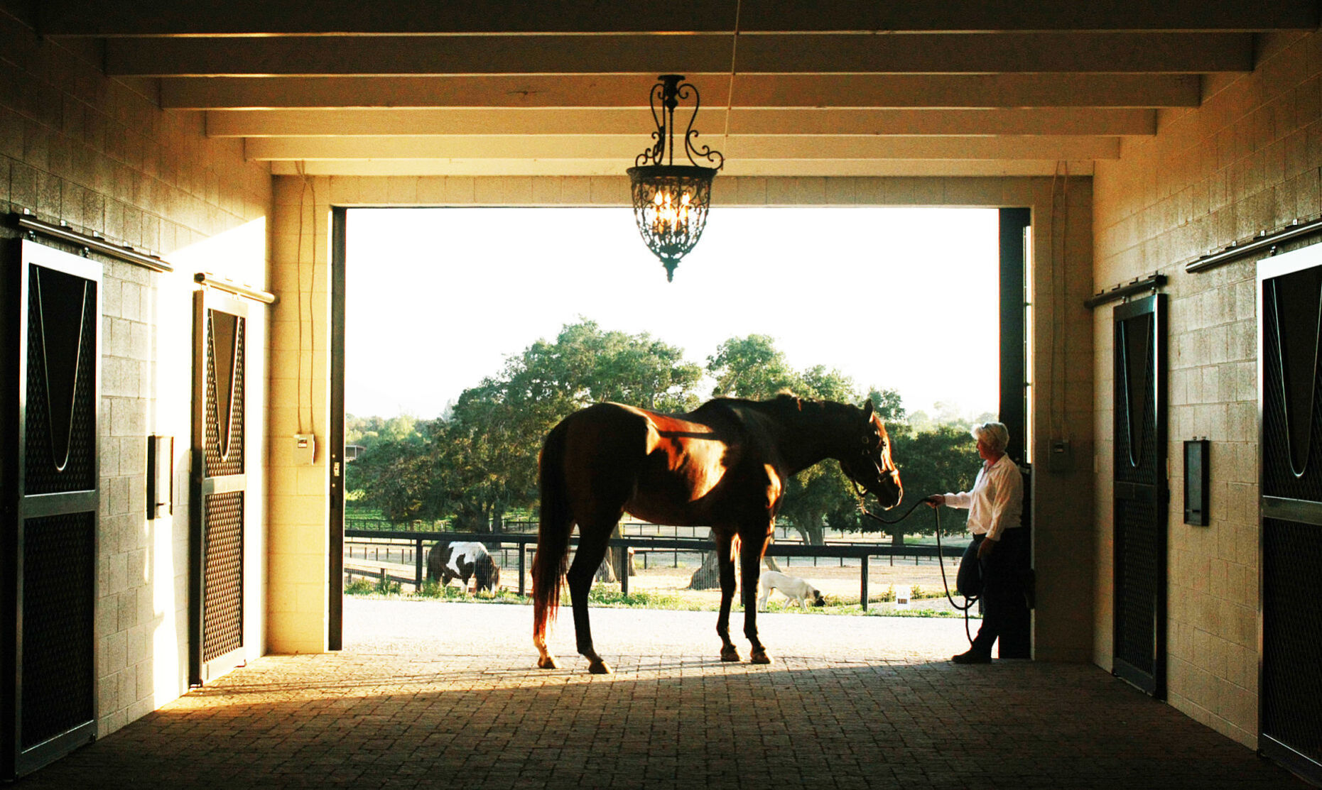 Fairfield Farm new 20 acre luxury horse farm set to open in