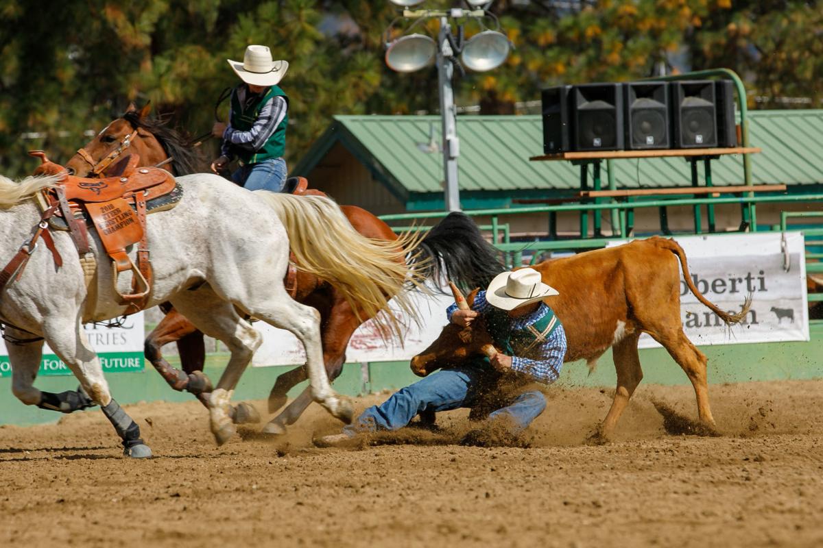 Scottvarleyphoto Nightly Rodeo In Cody Wyoming Cody Wyoming Wyoming Cowboys Wyoming
