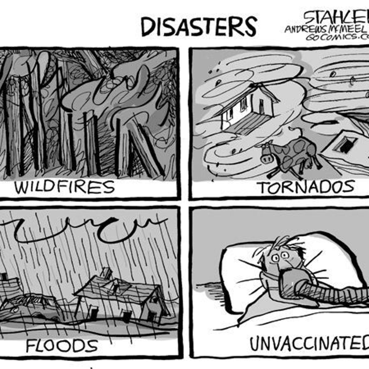 Editorial Cartoon: Disasters | Editorial 