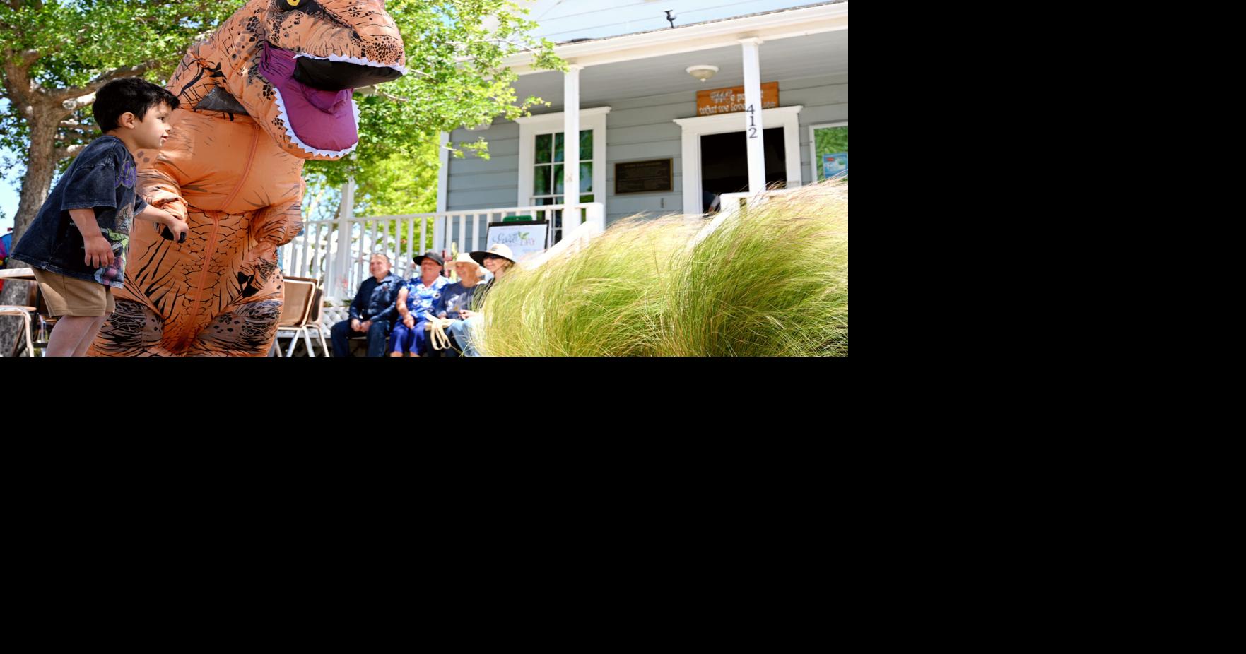 Natural History Museum of Santa Maria to celebrate 30 years of connecting community, nature