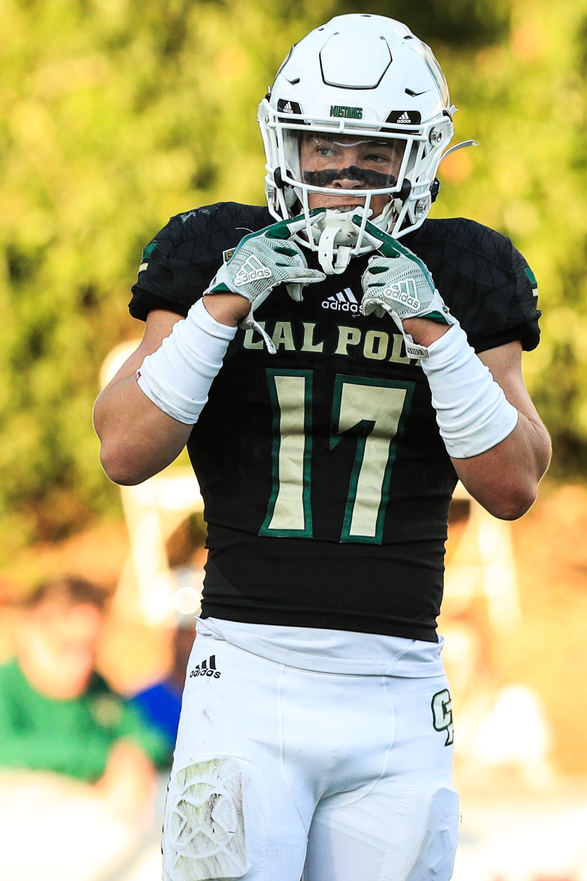 Former Cal Poly wide receiver signs with Miami Dolphins