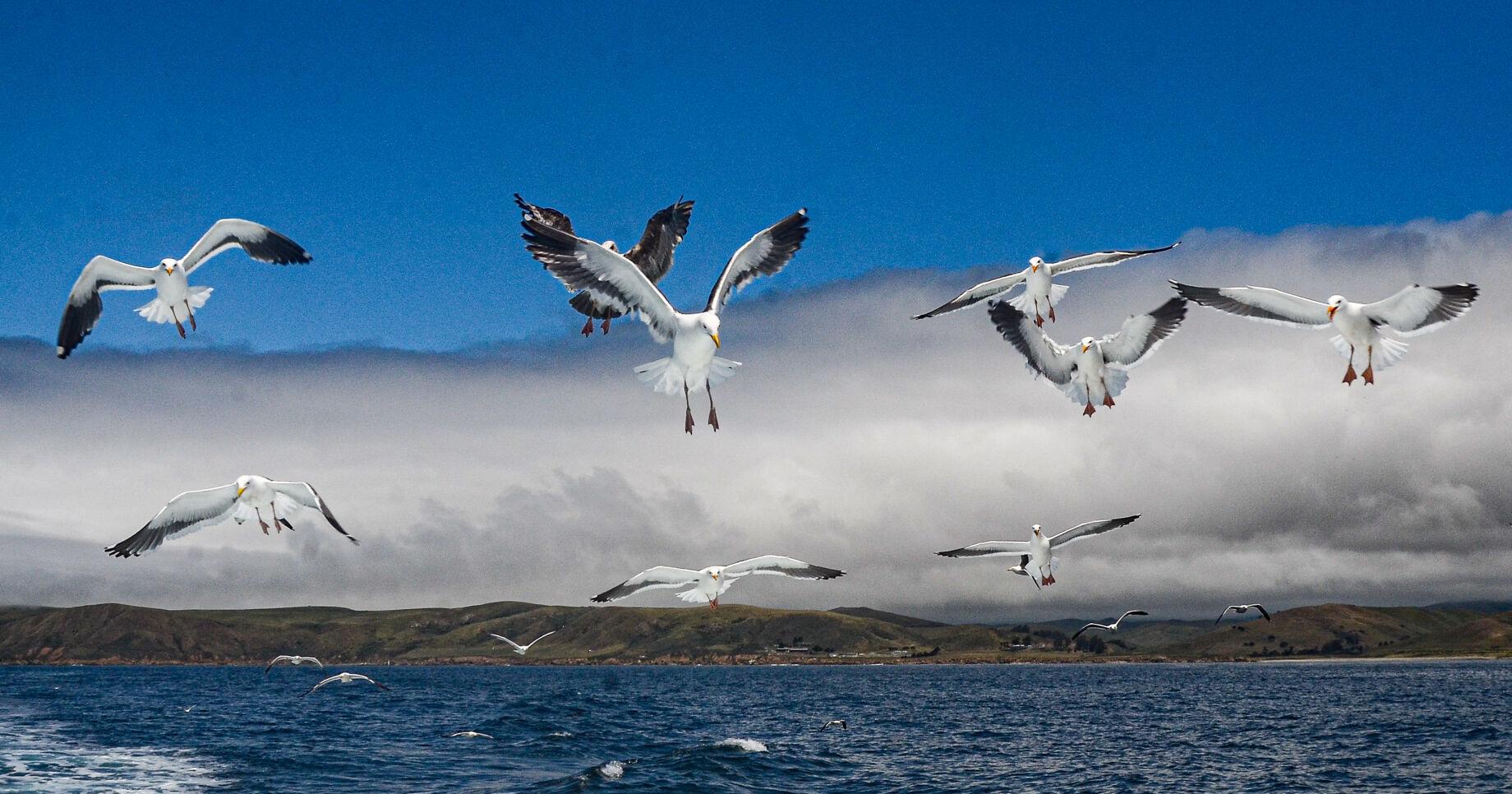 Deep marine layer this weekend, clearing skies, warmer starting Monday | Central Coast Weather Report - Vimarsana News