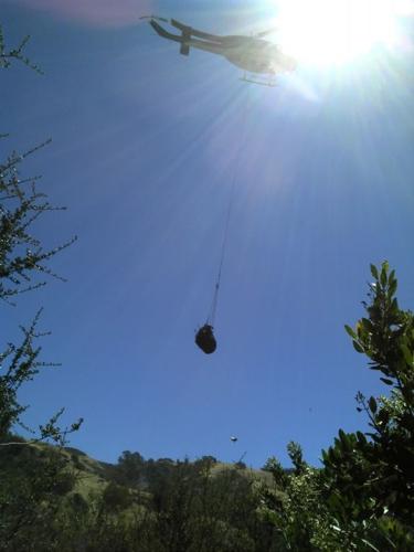 Authorities seized $131 million worth of pot in Santa Barbara County in ...