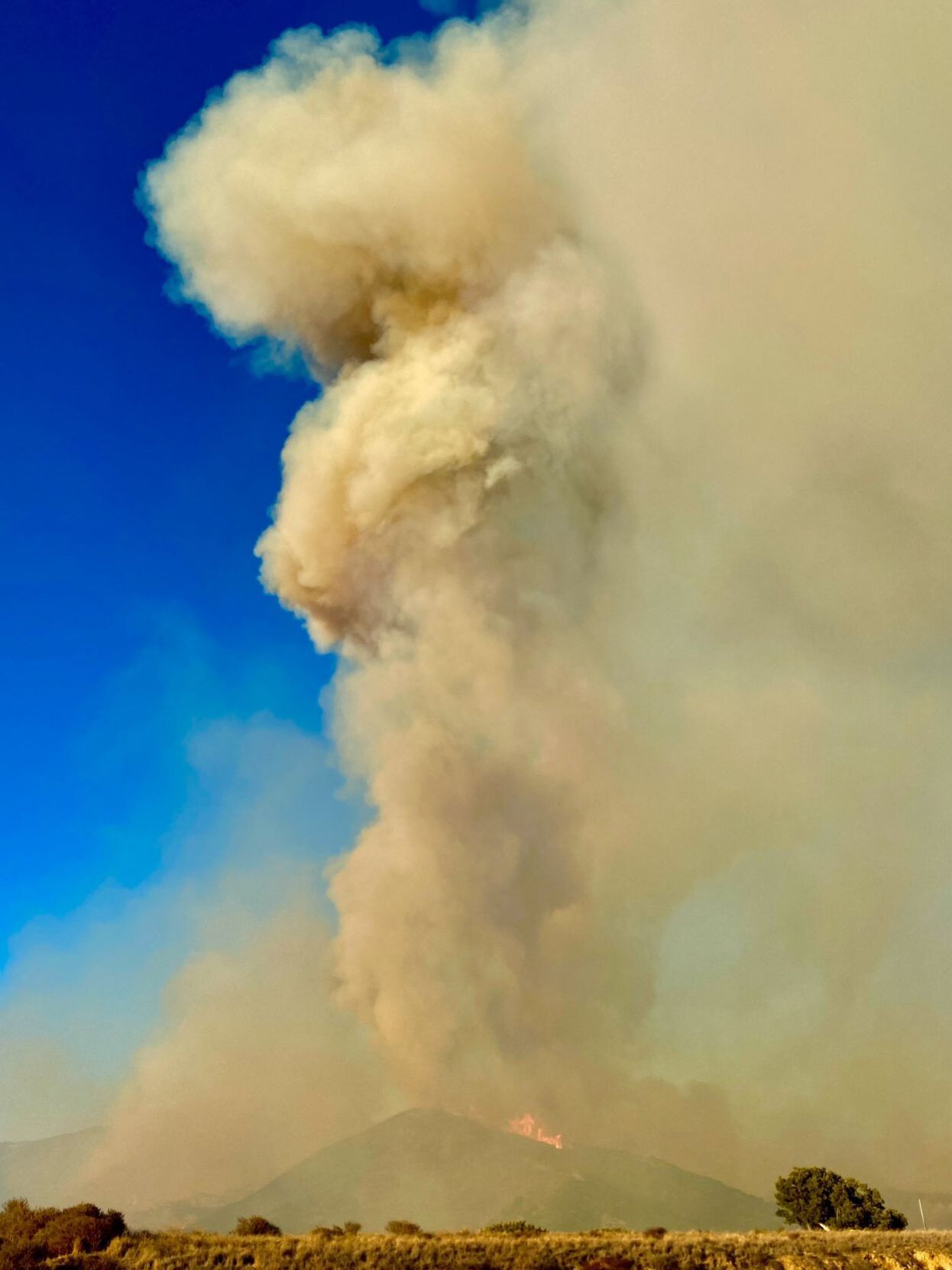 Photos: Images from the Alisal Fire | Local News | lompocrecord.com