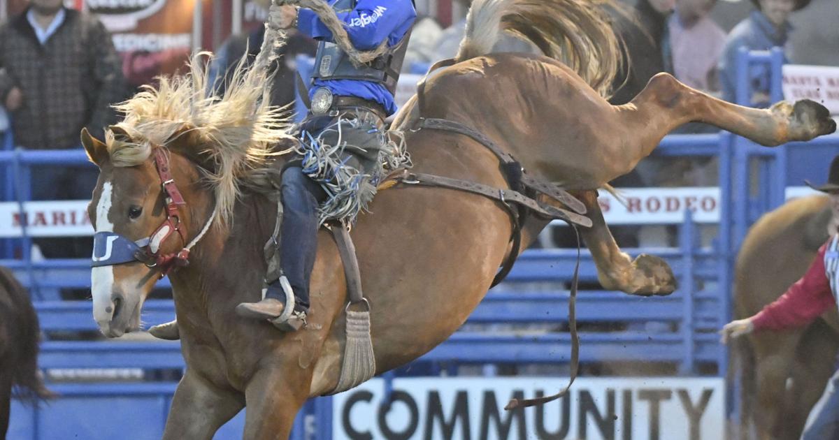 Alex Wright Rodeo A Wright night at the rodeo | Local Sports | lompocrecord.com
