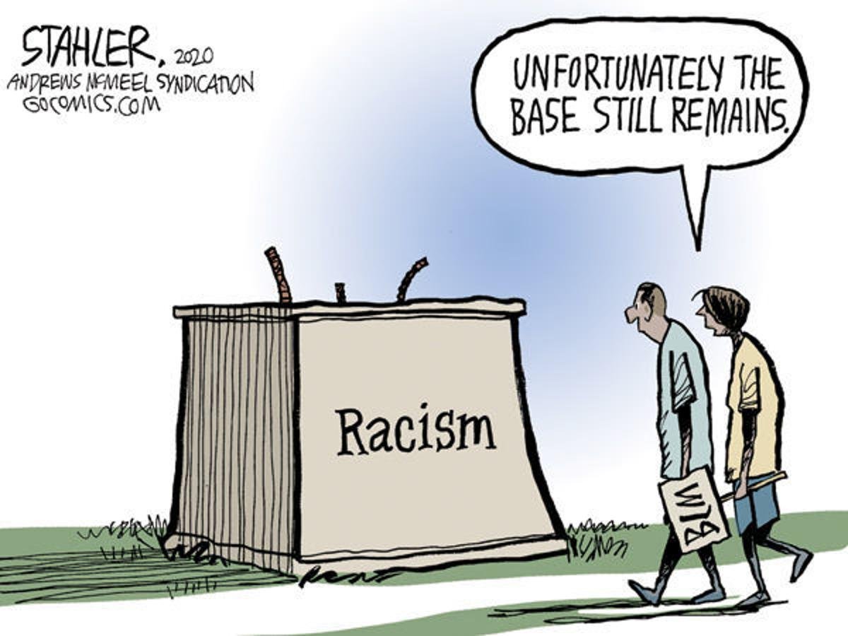racial discrimination in schools cartoon