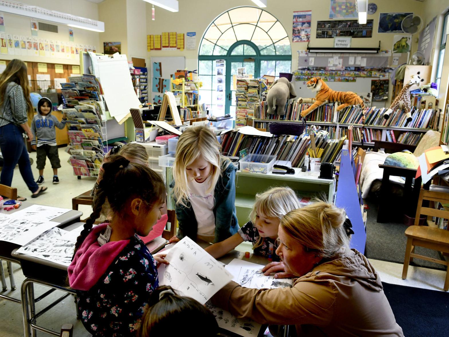 generations of gaviota families