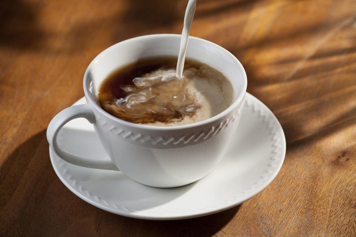 Cream In Your Coffee Maybe Not Here S A Taste Test From Half And Half To Hemp Milk Food And Cooking Lompocrecord Com Cream In Your Coffee Maybe Not Here S A Taste Test From Half And Half To Hemp Milk Food And Cooking Lompocrecord Com
