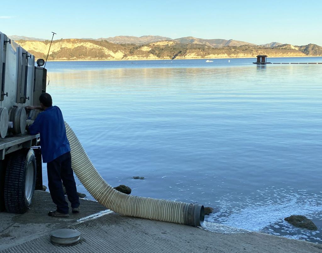 Second 4 000 Pound Delivery Of Rainbow Trout Released Into Cachuma Lake Local News Lompocrecord Com