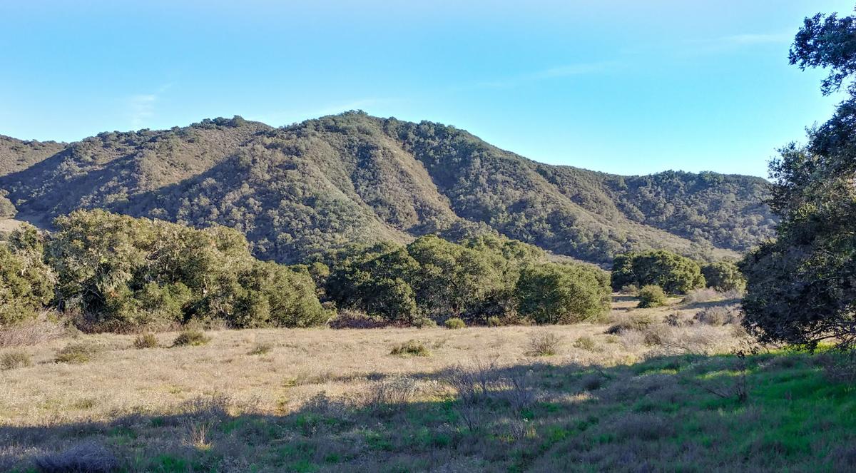 Yellow Foxtrot conservation easement