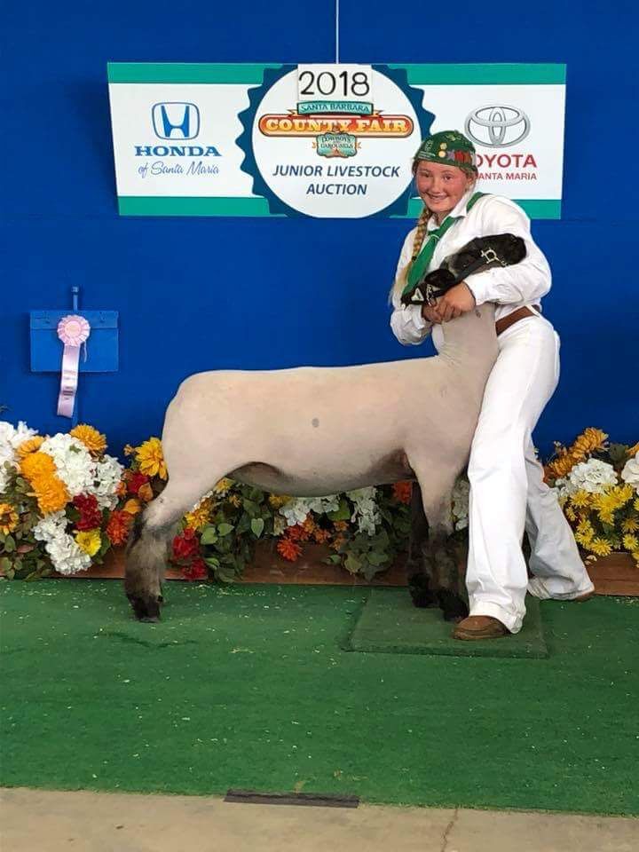 2021 Santa Barbara County Fair uncertain but virtual livestock