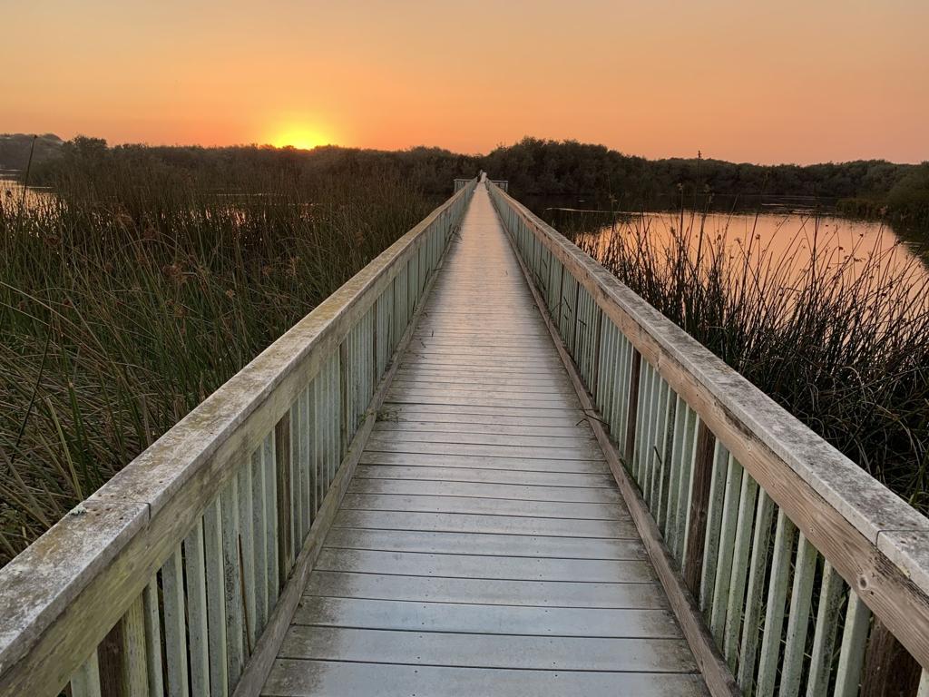 State Parks Plan For Oso Flaco Lake Calls For 300 Campsites More Trails Ohv Access Local News Lompocrecord Com