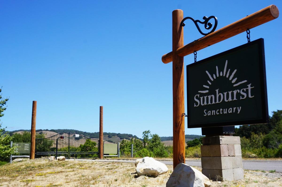 080720 Sunburst Sanctuary