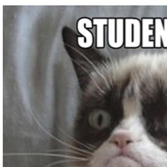 grumpy cat school meme