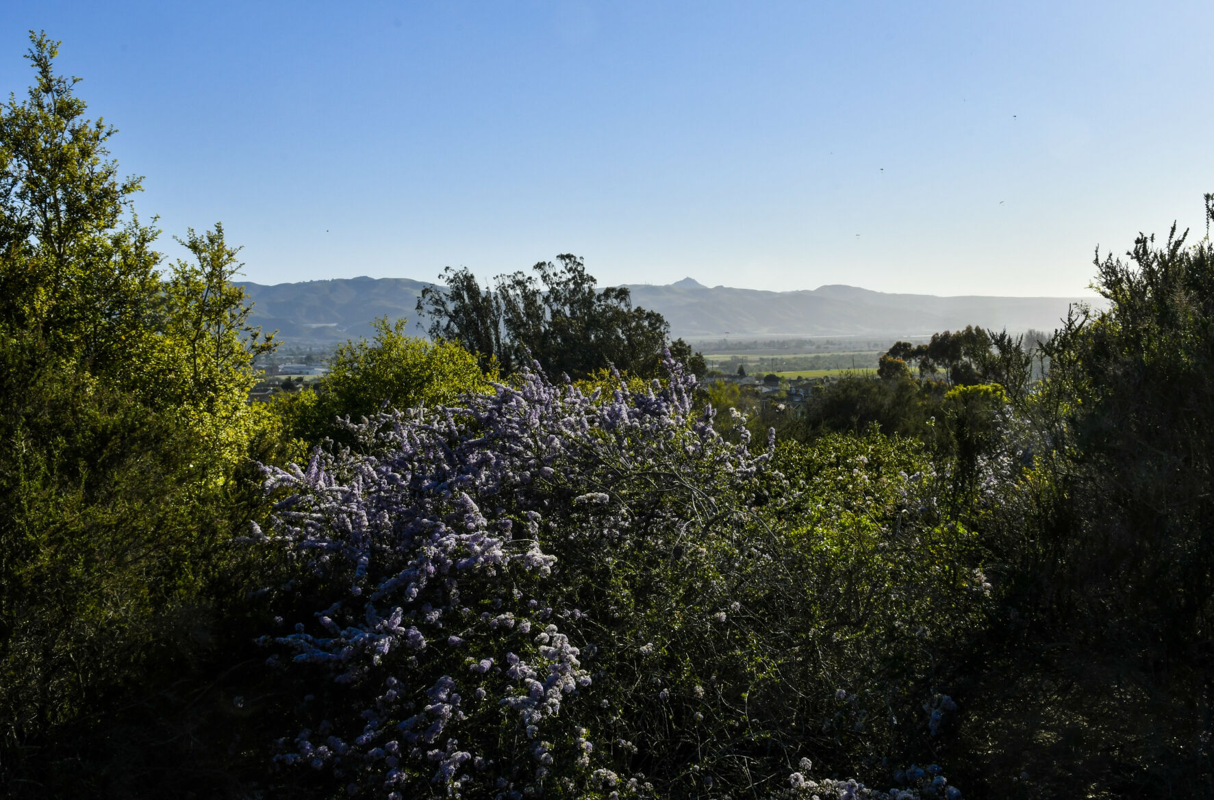 Burton Ranch housing development in Lompoc is green lighted for 10