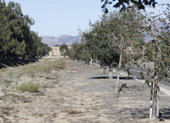 City asks for feedback on Blosser channel expansion project | Local ...