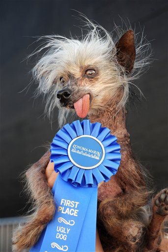 Pekingese The Ugliest Dog Contest Shop World's Ugliest Dog Winners