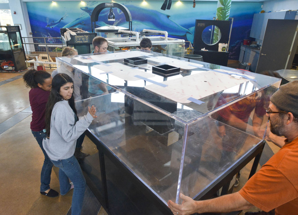 New tanks arrive at Cabrillo High aquarium Local News