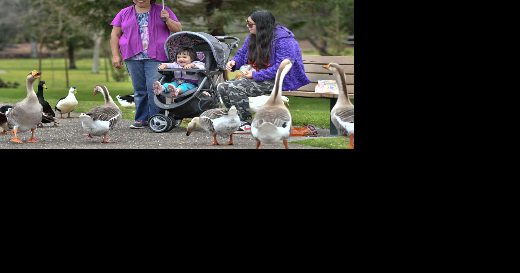 Don't put away those umbrellas, rain boots just yet | Local News ...