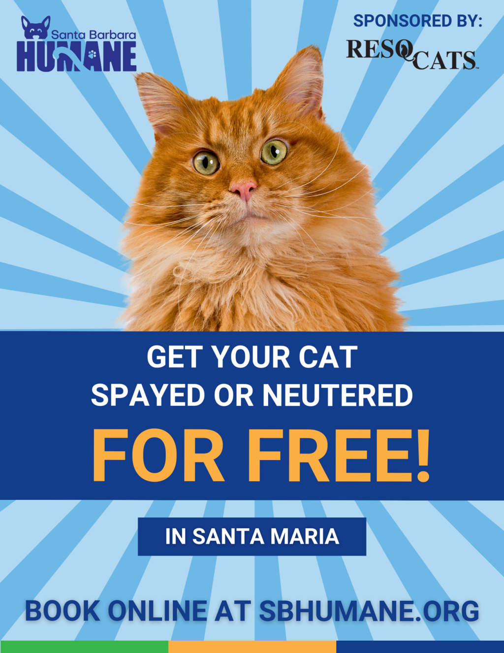 Santa Maria Spay Your Cat For Free Shop Places To Get Your Cat