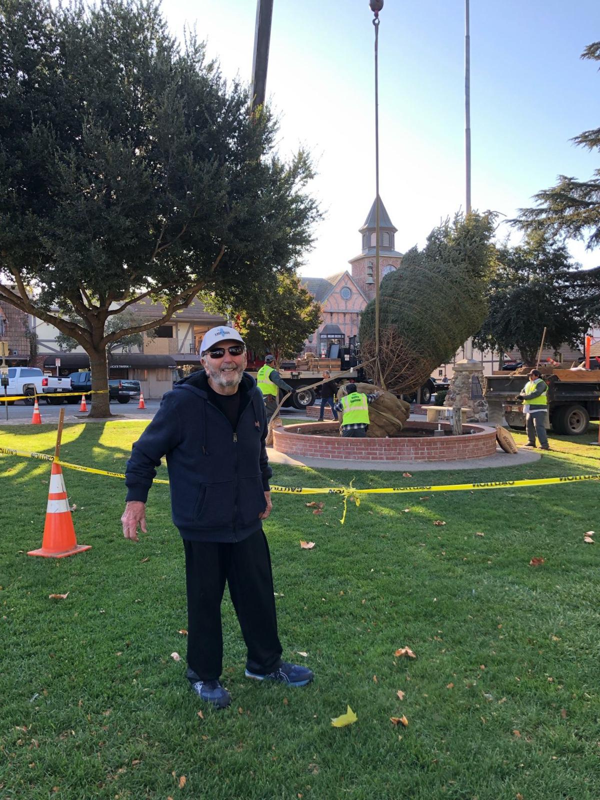 Sprucing it up: Solvang celebrates planting of live Christmas tree in town center ...