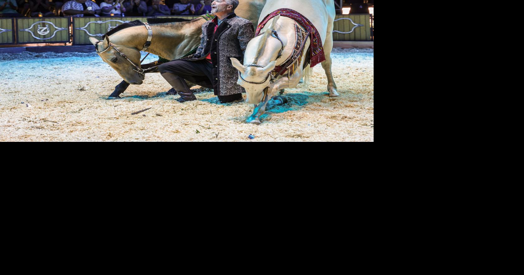 Equestrian circus Cirque Ma’Ceo bringing horses, acrobatics to Santa Maria Fairpark