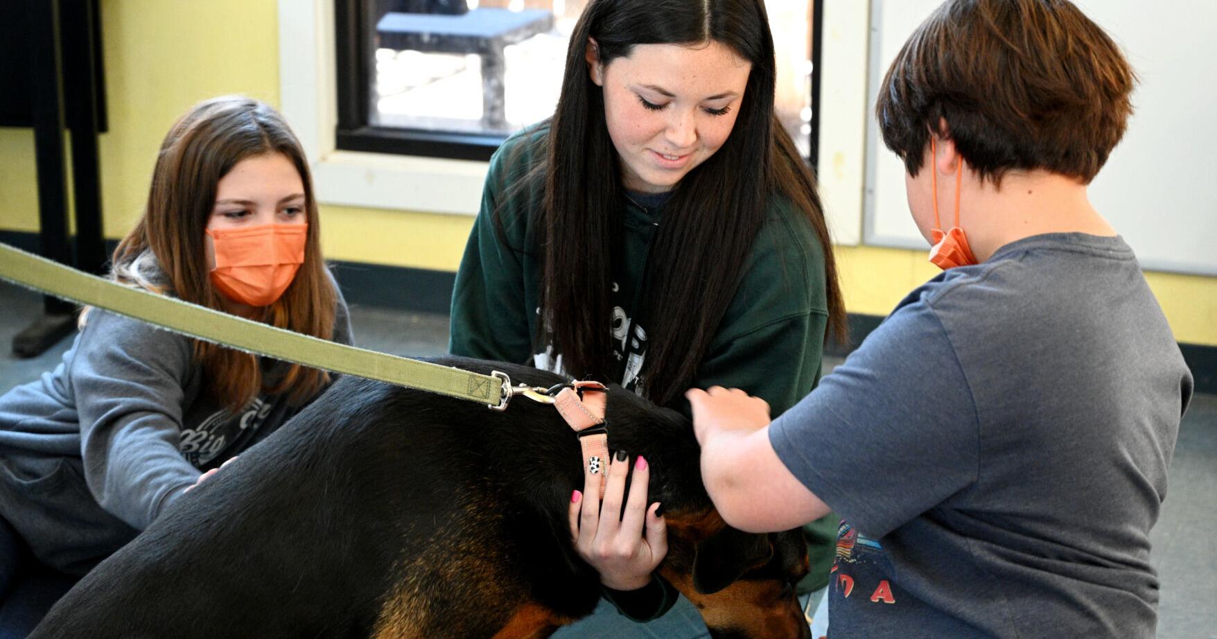 Camp H.O.P.E. returns: Local youth gets inside scoop at local animal shelter - Vimarsana News