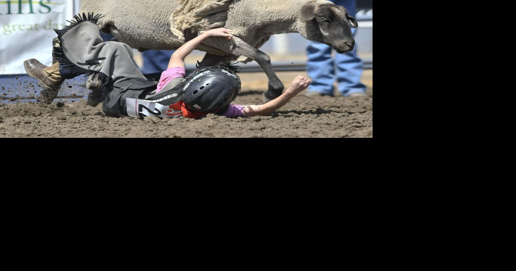 Photos: Minetti Mini Rodeo entertains thousands in Santa Maria | Local ...